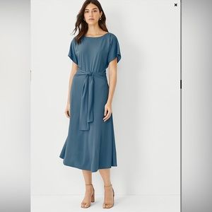 NWT Ann Taylor Smocked Back Flare Dress Size 12